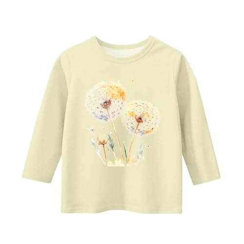 Toddler Dandelion Graphic T-Shirt Casual Long Sleeve Crewneck Pullover Teen Girls Cute Print Cotton Trendy Tops Outfits2
