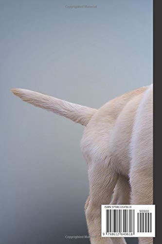Labrador Notebook: Labrador notebook blank pages - Journal to write in - 120 pages - 6"x9", White - Image 2