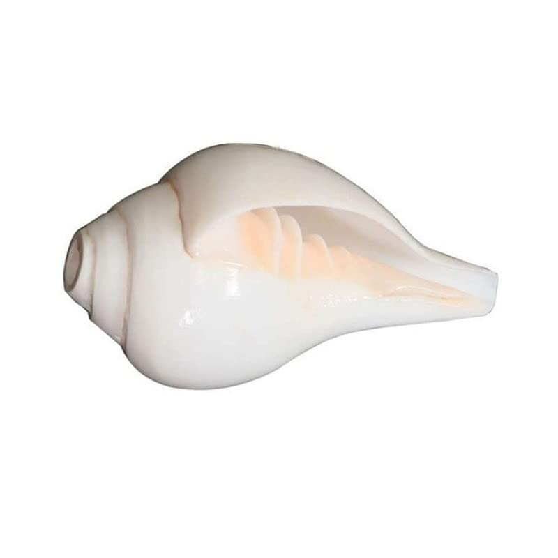 Conch Shell Loud Blowing Shankh Home Temple Puja (White, 5 Inch) - Pack of 1 Piece by Indian Collectible