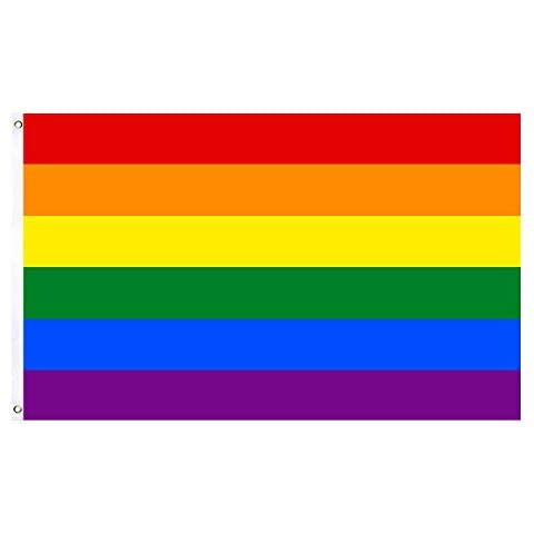 Ashlyric Rainbow Polyester Flags 2x3 Ft, Gay Pride Flag with Brass Grommets - Bright Color and UV Protection Cover