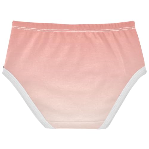 Joisal Cotton Girls Underwear Toddlers Coral Pink Floral White Gradient Little Girl Panties Fun Briefs Girls Undies 2t2
