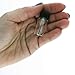 Clear Glass Vials, 1 Dram (1/8 oz) with Screw Caps, Case of 144