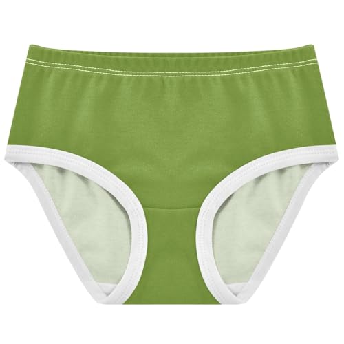 Joisal Olive Drab Green Toddlers Underwear Floral 2t Cotton Girl Panties Cute Cartoon Briefs Undies Kids