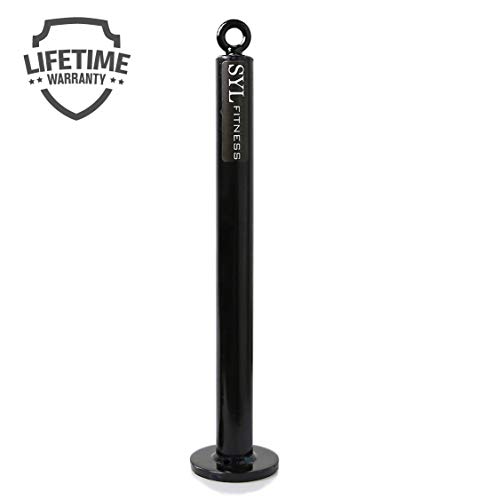 Best 1 Inch Weight Plate For Lat Machine