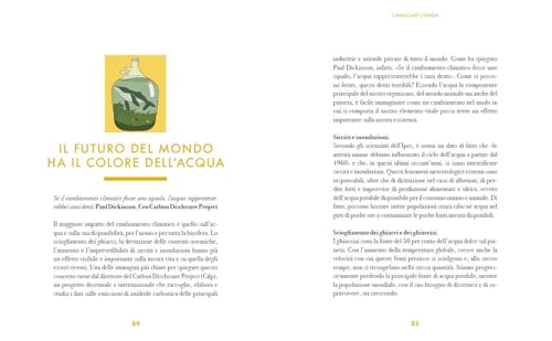 Green Nation Revolution. Le Idee, I Giovani E Le Nuove Economie Che Stanno Rivoluzionando Il Mondo E Curando Il Pianeta. Nuova Ediz. - 3