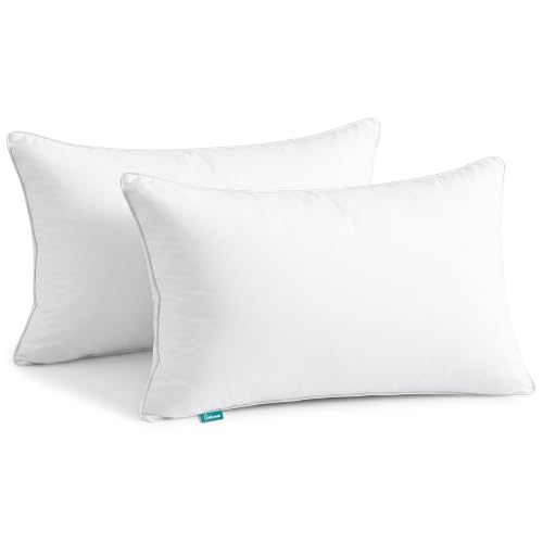 Image of Oubonun 20 inchx30 inch Decorative Bed Pillow 2 Pack,100% Cotton Cover Living Room