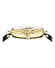 Versace Palazzo Empire Collection Luxury Womens Watch Timepieces with a Black Strap and Dial Featuring a Gold Case