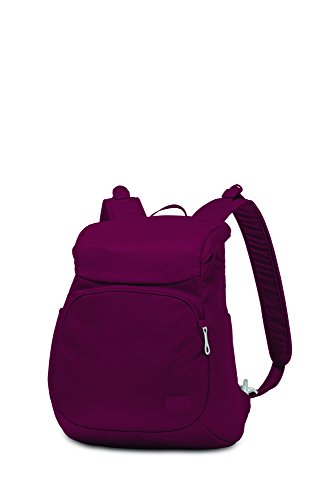 Pacsafe Citysafe CS300 Anti-Theft Compact Backpack, Cranberry
