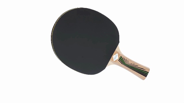 Donic-Schildkröt Raquette de Tennis de Table Champs Line 300, Éponge 1,0 mm, Revêtement Jade - ITTF, 705132 Donic-Schildkröt Raquette de Tennis de Table Champs Line 300, Éponge 1,0 mm, Revêtement Jade - ITTF, 705132