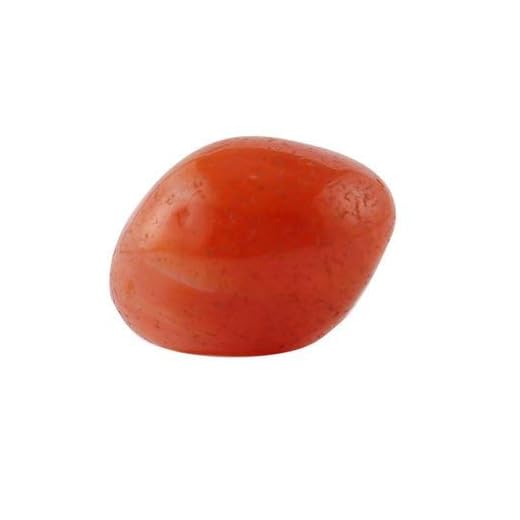 Healing Crystals India Real Crystals and Healing Stones - Healing Crystals for Beginners- Healing Stones Tumbled Crystals for Witchcraft (1, Carnelian)