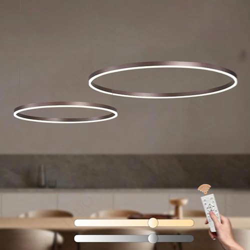 Lustre LED moderne DIY cercle 2 anneaux 60 80cm suspension réglable
