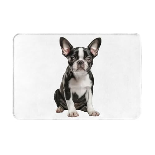 ���փ}�b�g �t�����`�u���h�b�O �� ���� ���O ����~�� �􂦂� �k���� �t�����l�� �z������ �h�L �R�� ���� ������� 40×60cm �o�X�}�b�g �L�b�`���}�b�g