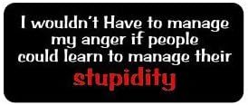 3pcs I Wouldn't Have to Manage My Anger If People Could Learn to Manage Their Stupidity Funny Hard Hat/Helmet Stickers