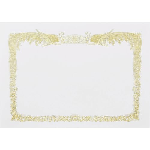 LOR[|[V ܏p }`v^[p A4 ^  100 251303