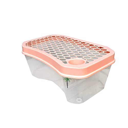 Image of Jainsons Pet Products Turtle Tank Aquarium-Turtle basking Platform，Swimming Area, breeding Hibernation Area, (Accessories not Included) Color May Vary (15 INCH-TANK-D-13)