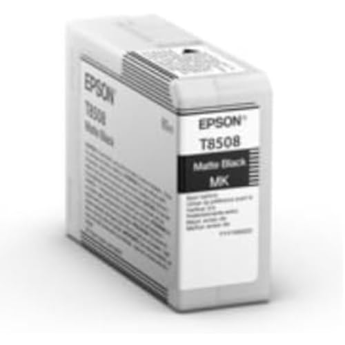 Epson Cartouche d'encre Standard Noir Mat 80 ML