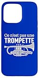 Ptera: For Cornet Players Who Love Brass Band