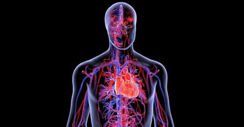 Page de couverture de Natale a tutto cuore: come proteggere la circolazione sotto stress