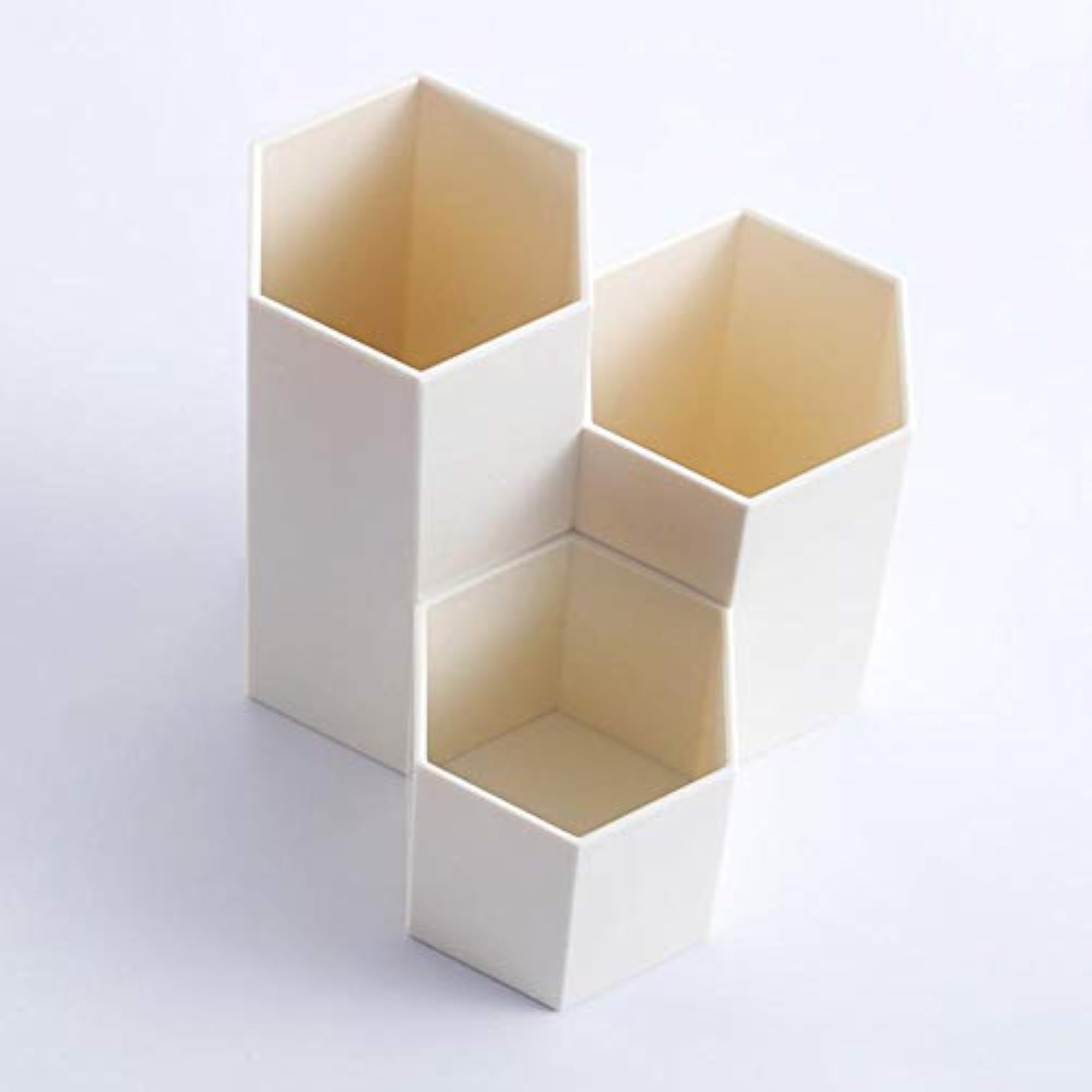 PS Nail Polish Cosmetics Box Pen Holder Makeup Brush Storage Case