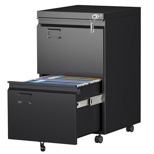 Aobabo 2 Drawer File Cabinet with Wheels, Lockable Metal Filing