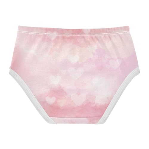 Briefs Elastic Waistband Panties Organic Underwear for Toddlers in Sizes 2T,3T, 4T, 5T, 6Y and 8Y2