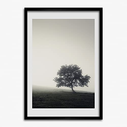 Affiche arbre dans le brouillard sous cadre MDF 50x70 cm pour décoration murale