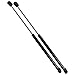 Qty (2) StrongArm 6800 Fits Mazda 3 2004 to 2009 Hatchback Lift Supports with Wiper Spoiler