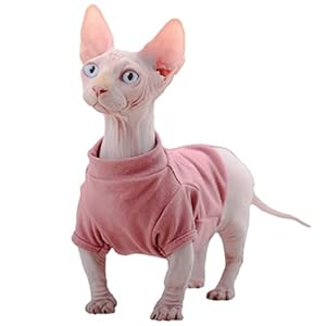 Weiche warme Katzenbekleidung mit hohem Kragen, Sphynx ohne Haare, für Peterbald Donskoy, kleine Hunde, Dralon, Thermo-Streifen, Kätzchen-Shirts, Pullover, Weste, kaltes Wetter, Mantel für Cornish Rex