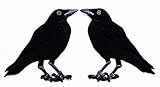 Set 2 Pcs American Black Crow Raven Birds Kids Cartoon Iron on Patch Embroidered Patch Supplies for Jacket Bags Jeans Backpack Clothes DIY