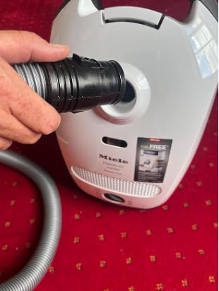 Cliffi Barretta Per Canarino, Miele/ Semi Della Salute 2 In Italia | Animali - Foto 4