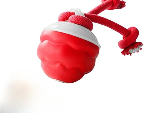 DancJuliep  {[ hbO{[ USB[d\ Iɓ]錢{[ a7.5cm   {[ p{[ X}[g{[ Sޗ   p邨   ^s΍ XgX 