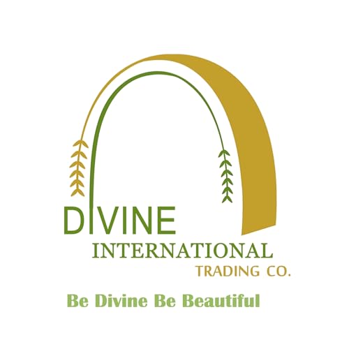 Divine International Trading Co Women's Faux Georgette Semi Stitched Top with Santoon Fabric Bottom and Faux Georgette Dupatta Embroidered Front Slit Anarkali Dress