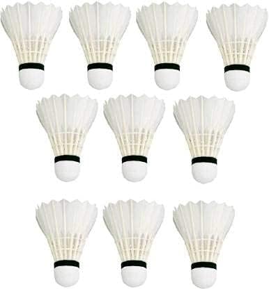 DESCTIDY White Feather Badminton Shuttlecock | EVA Based Cork | Excellent Flite | for Beginner to Advance Level (10 Pcs Shuttlecock Box) (B0CPT64J92) Amazon Price History, Amazon Price Tracker