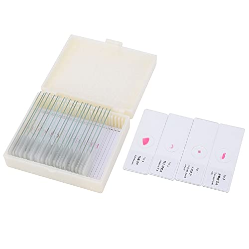 Vetrini per microscopio, bordo arrotondato Facile da studiare Campioni di campioni biologici Campioni da laboratorio 25 pezzi per l'istruzione di base in scienze biologiche per studenti Vetrini per microscopio, bordo arrotondato Facile da studiare Campioni di campioni biologici Campioni da laboratorio 25 pezzi per l'istruzione di base in scienze biologiche per studenti