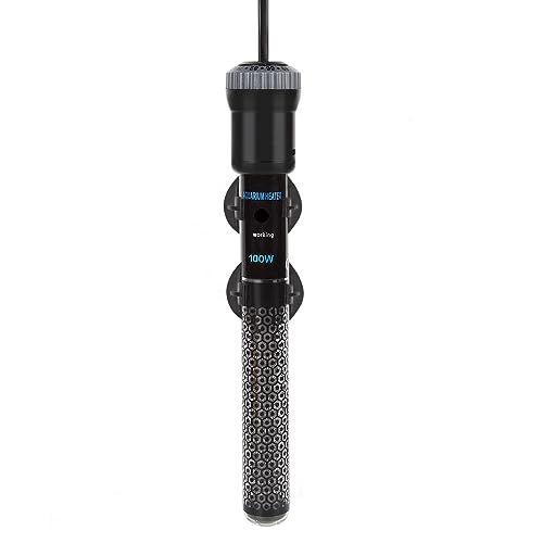 Top 10 Best 10 Gallon Aquarium Heater Reviews & Buying Guide Katynel
