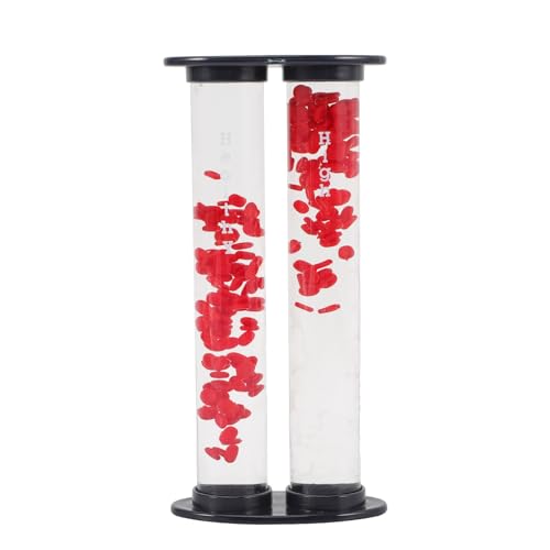 Image of Model for Teaching Educational Display for Comparison Anatomical Demonstration Tool for Schools and Hospitals High-Grade Material Simple Design