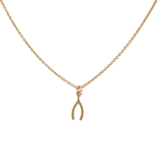 Make A Wish Necklace, 18K Gold Plated Wishbone Pendant Necklace, Good Luck Jewelry For Him And Her (Mini)