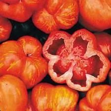 Molto particolare a Righe Cavern pomodoro! 20 semi! ASSOLUTAMENTE DELIOIOUS! COMBINATO S/H