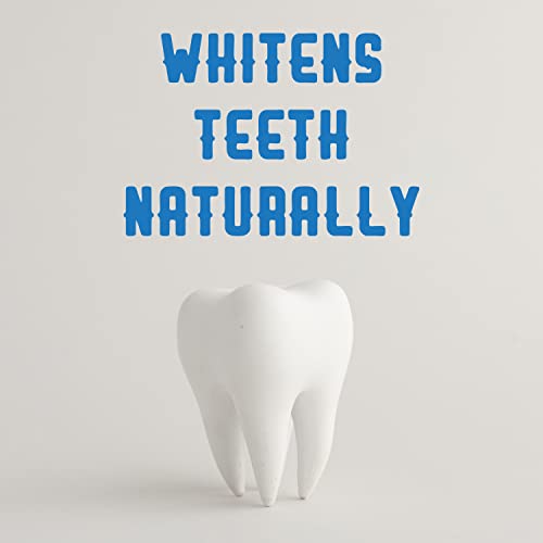 Xyloburst Black Activated Charcoal Natural Whitening Toothpaste With Xylitol - Sls Free, Sulfate Free, Fluoride Free, Vegan, Safe On Enamel, Made In Usa, Peppermint (4Oz) (3 Tubes) #TOP6