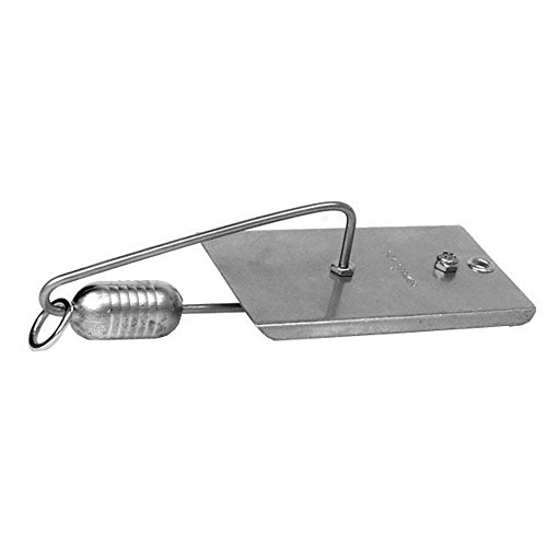 Best Planer For Fishing