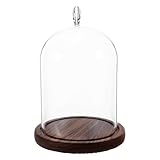 Protection anti-poussière efficace : La cloche en verre pour fleurs préservées crée une barrière protectrice qui maintient votre décoration sous verre nette et éclatante, prolongeant ainsi beauté de vos compositions d'entretien
