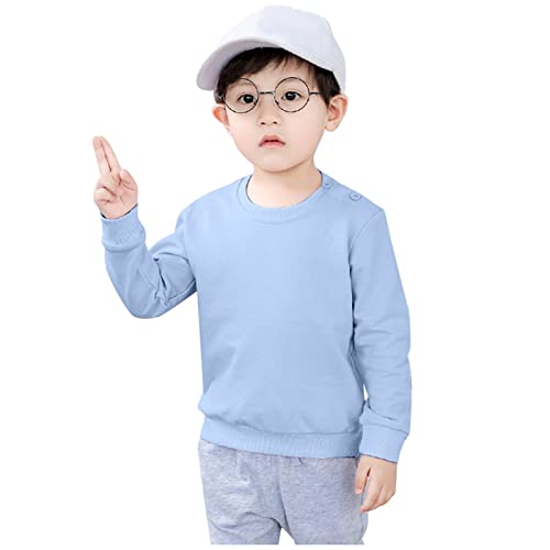Betadog Childrens Big Boys Crewneck Sweatshirt Youth Crewneck Sweatshirt Boys Size 8 Long Sleeve (Light Blue, 2-3 Years)