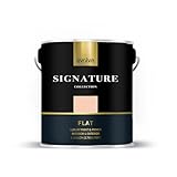 EVOLVE Signature Paint & Primer: Luxury Paint & Primer for Indoor & Outdoor Surfaces, Minimal Odor, Flat Sheen (1 Gallon, Exotic Peach)