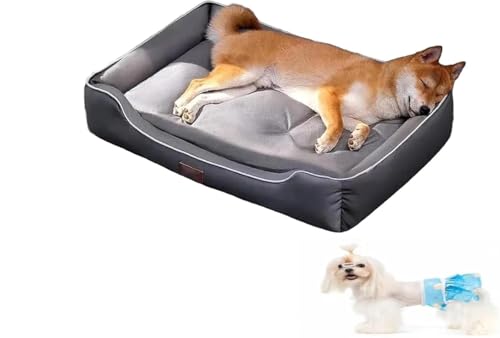 DXYGUGS ybg}bg ϊݑfޖh xbh xbh 􂦂 |₷ Lp ybg\t@[ pxbh v IbNXtH[hn ^ ^ ɂ ybgNbV ~(O[,S)