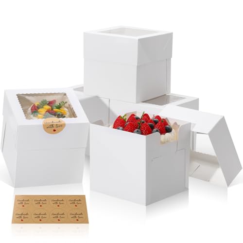 COTOPHER 5Pcs 6x6x6 In Mini Cake Boxes, Square Bakery Boxes with Window