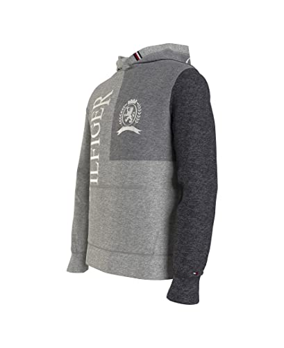Image of Tommy Hilfiger Men's THD Hoodie Sweatshirt