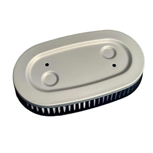 Filtre à air pour moteur de moto QJ350-12B QJMOTOR admission air