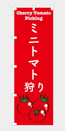 ̂ڂ  "~jg}g" NBTOMATO10i``jibhj