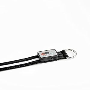 BLAZIN Light Up Dog Leash Extender - 1,000 Feet of Visibility - USB Rechargeable Waterproof Glow in The Dark, Black BLAZIN Light Up Dog Leash Extender – 1,000 Feet of Visibility – USB Rechargeable Waterproof Glow in The Dark, Black
