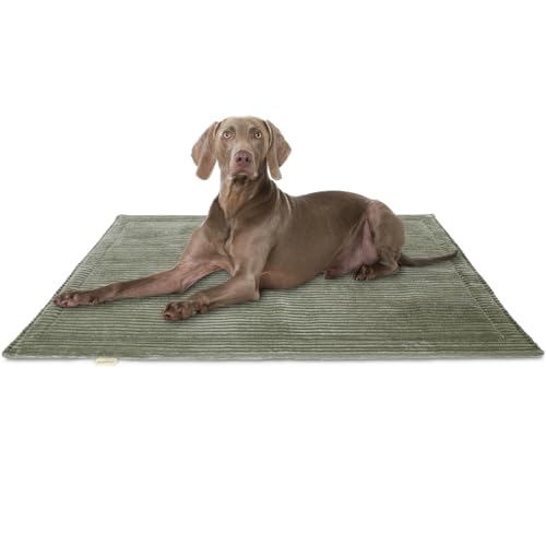 Knuffelwuff Hundedecke Timor 120x80cm Khaki - Bequeme und Pflegeleichte Liegedecke aus weichem Cord - waschbar - für große, mittelgroße und kleine Hunde